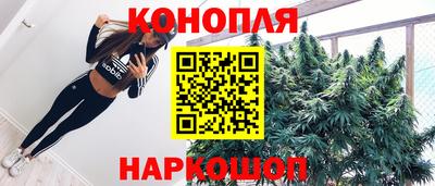 крисы Аша