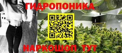 крисы Аша